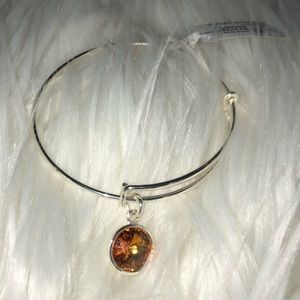 Alex and Ani Birthstone Bracelet